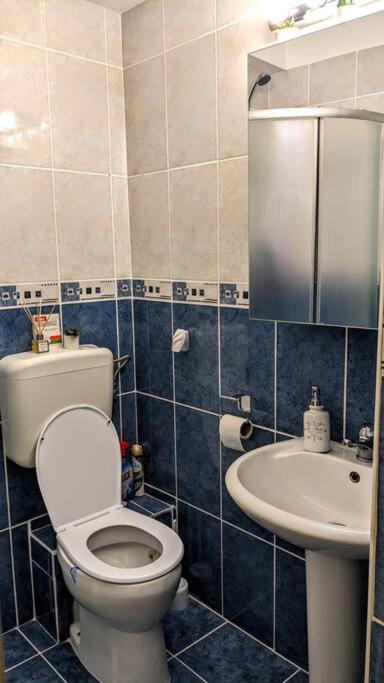 Cosy One Bedroom Flat With Free Parking & Wifi Cluj-Napoca Exterior photo
